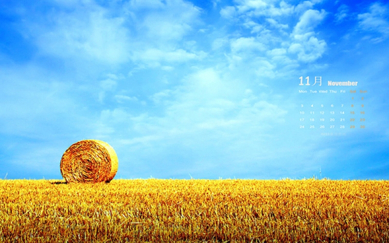 乐竞平台(中国)汇绿丨TMOON实验室高端装备 · 深秋十一月